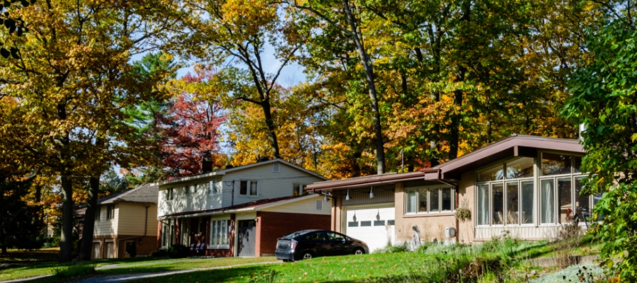 panorama of a suburban street at fall time. the trees are varied colors, and tree limbs overhang the homes