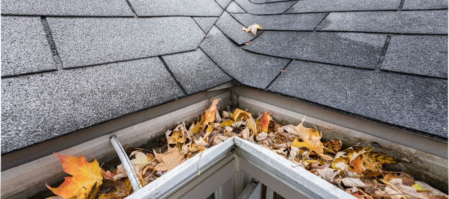 gutters full of yellow and orange leaves on a home with asphalt shingles