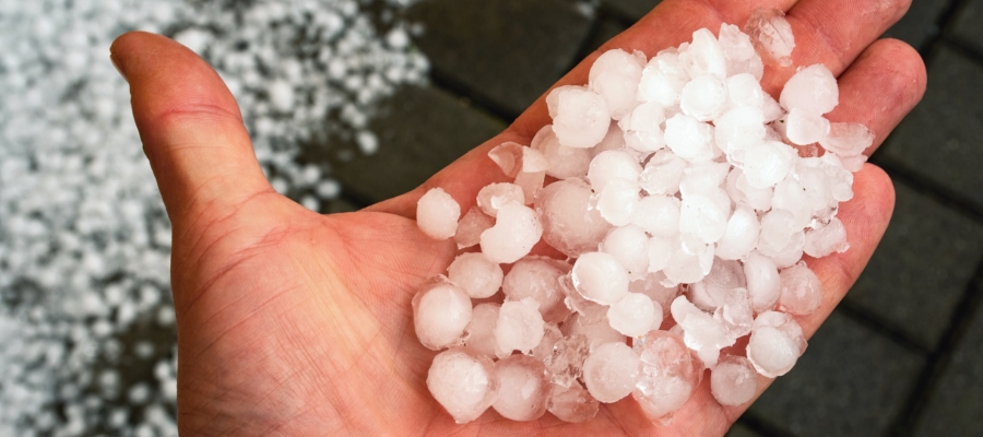 a man holds a handful of hail