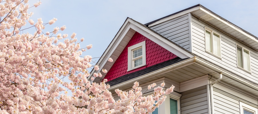 spring flowers in front of a house